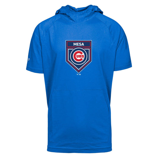 Chicago Cubs Phase Mlb Spring Training 24 Ff